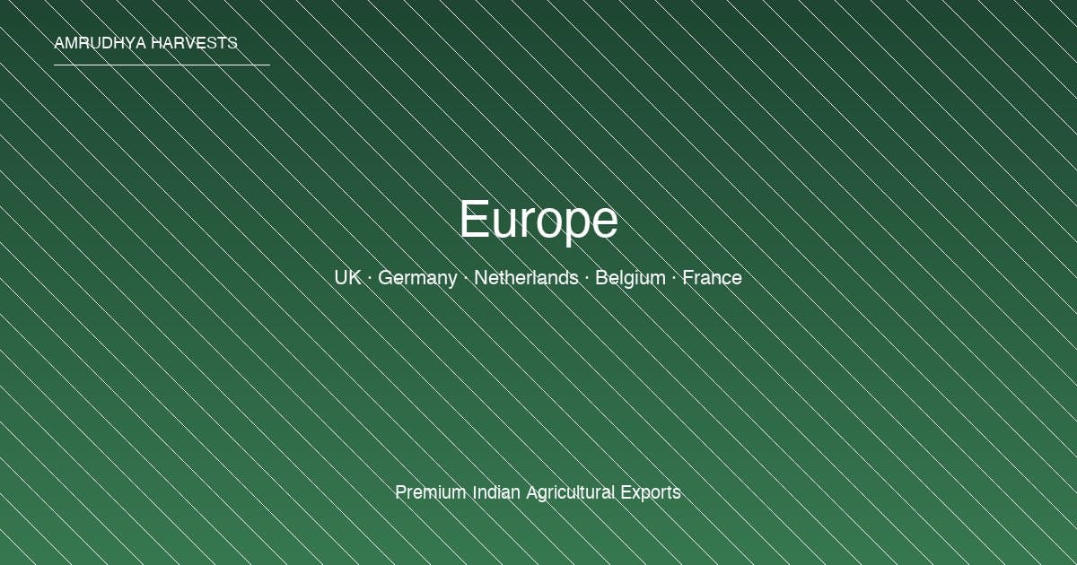 Europe export market